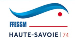 logo ffessM