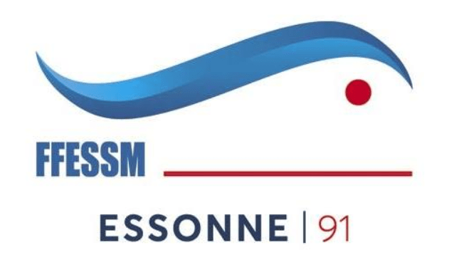 logo ffessM