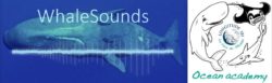 WhaleSounds