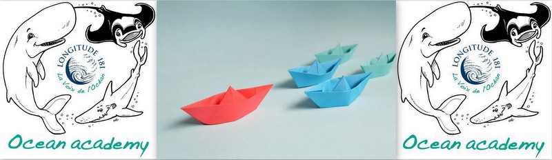 L’origami des océans pour petits et grands !