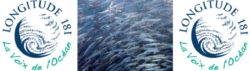 bandeau ball fish