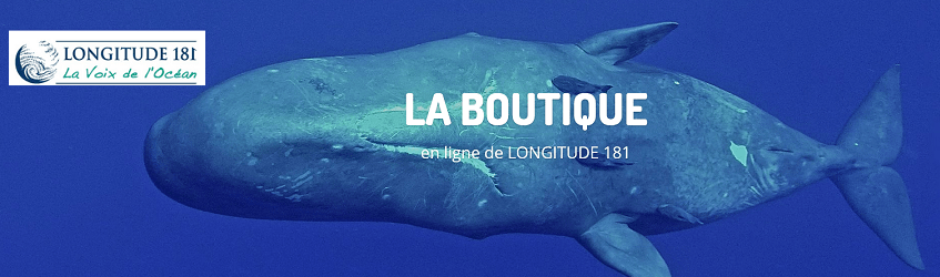 Profitez des promos de la boutique et soutenez Longitude 181!