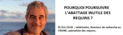 Pourquoi poursuivre labattage inutile des requins