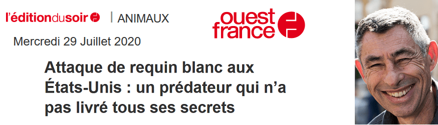 Attaque de requin blanc aux États-Unis : François SARANO répond dans OUEST France