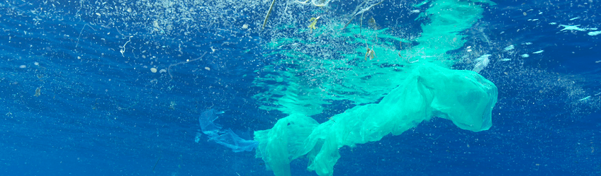 Pollution plastique : François SARANO fait le point sur ATLANTICO