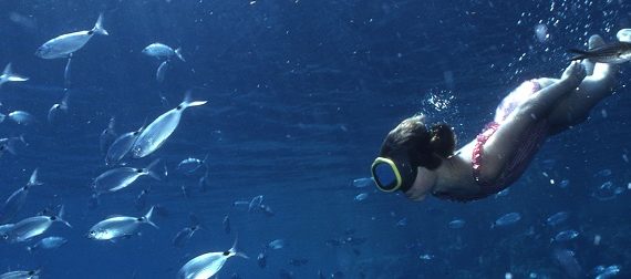 Plongeur sous-marin témoin borgne et ou spectateur privilégié