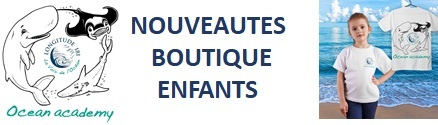 Les activités en ligne et la boutique Ocean academy