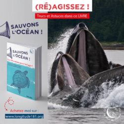 Sauvons l'ocean