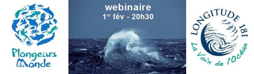 Participez au webinaire Plongeurs du monde – Longitude 181 !