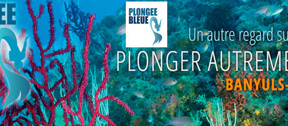 bandeau plongee bleue