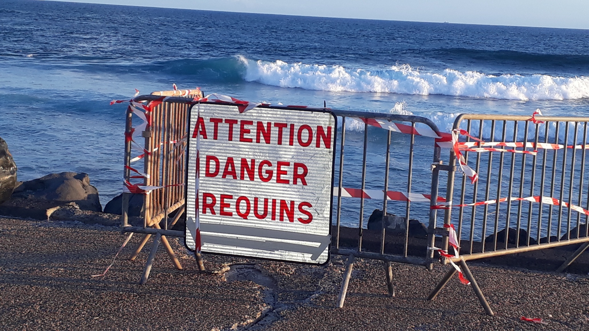 Ile de La Réunion, 10 ans de “Crise Requins”