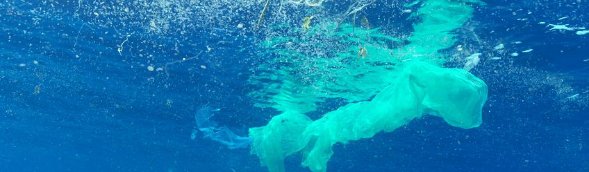 Plastique : Faut-il dépolluer les océans ?