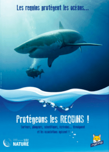 Les requins protègent l'océan