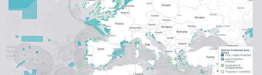 Aires marines protégées : vraiment protégées ?