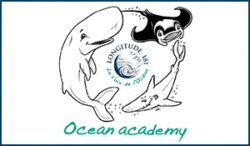 Ocean academy