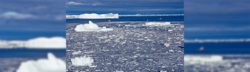 Quel danger derrière l'économie bleue