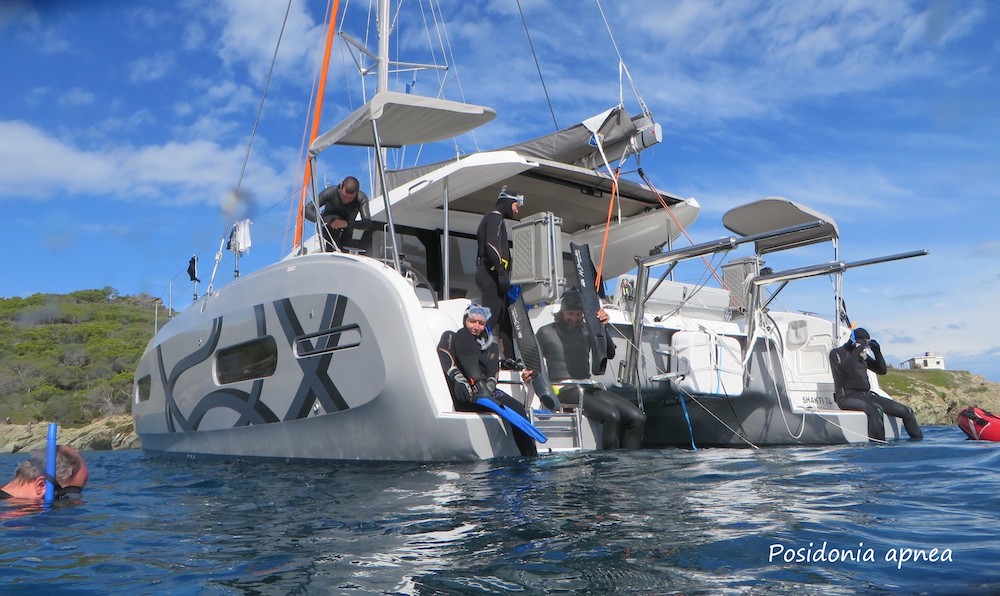 POSIDONIA APNEA, centre ambassadeur Longitude 181 du mois