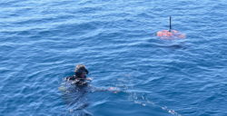 François Sarano et la bouée Bombyx