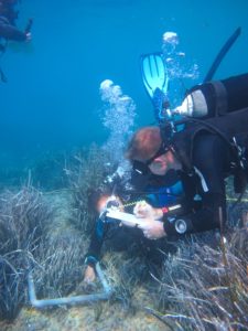 Scientific dive data collect