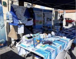 Le stand de Longitude 181 à Sausset les Pins