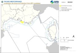 Localisation des Zones de Protection Forte ZPF en Méditerranée éditée 2021