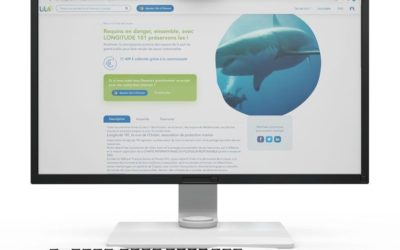Utilisez le moteur de recherche Internet Lilo !