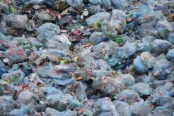 Plastique : Faut-il dépolluer les océans ?