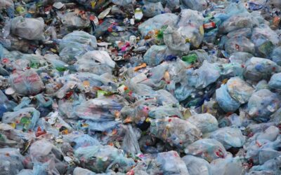 Plastique : Faut-il dépolluer les océans ? (redif.)