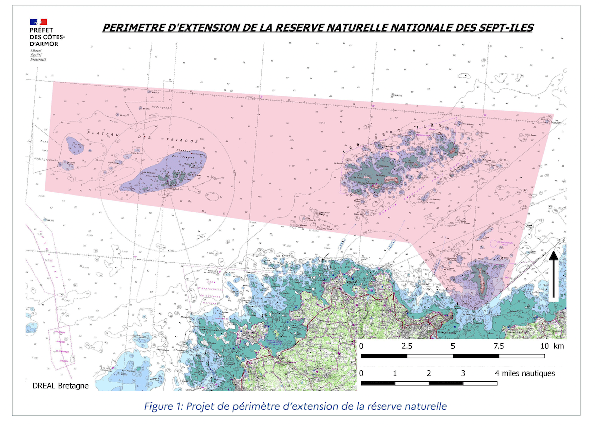 Soutenez l’extension de la réserve des Sept-îles, participez à l’enquête publique avant le 20 nov pour préserver ce joyau !