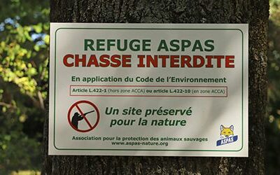 La propriété : arme de défense massive de l’environnement ? (rediffusion)