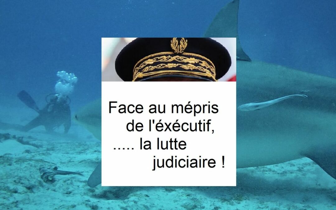 Face au mépris de l’exécutif, la lutte judiciaire…