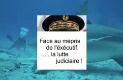 Face au mépris de l’exécutif, la lutte judiciaire