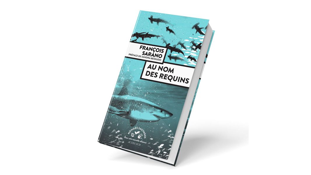 “Au nom des Requins”, un plaidoyer de François SARANO (redif.)