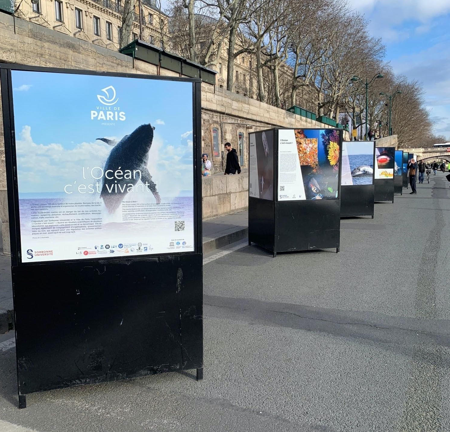 Vous reprendrez encore un peu de requin