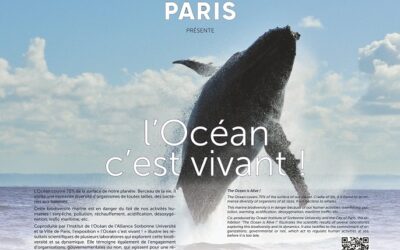 L’Océan c’est Vivant ! une expo photo en bords de Seine