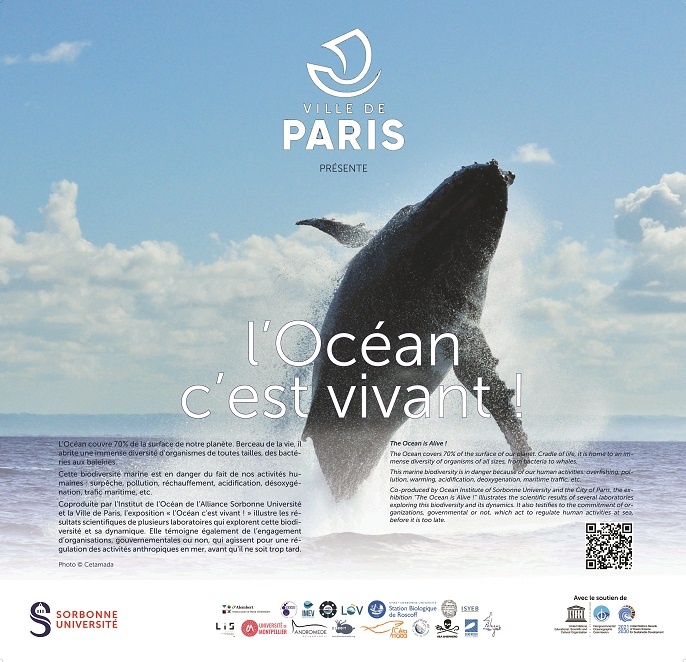 L’Océan c’est Vivant ! une expo photo en bords de Seine