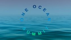 Pourquoi le One Ocean Summit est-il un échec, le bilan de Longitude 181