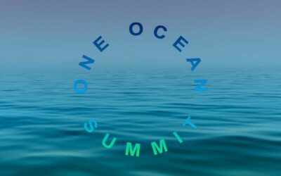 Pourquoi le One Ocean Summit est-il un échec ?