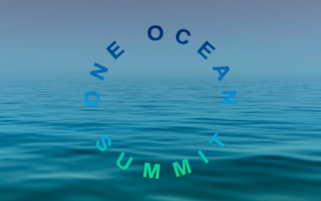 One Ocean Summit : l’incompréhension