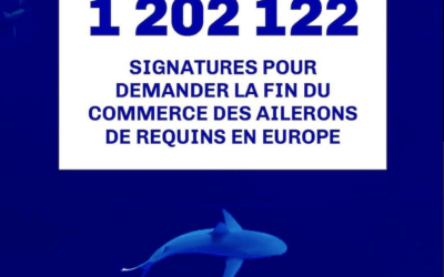 Stop Finning EU : plus d’1 million de votes… MERCI !