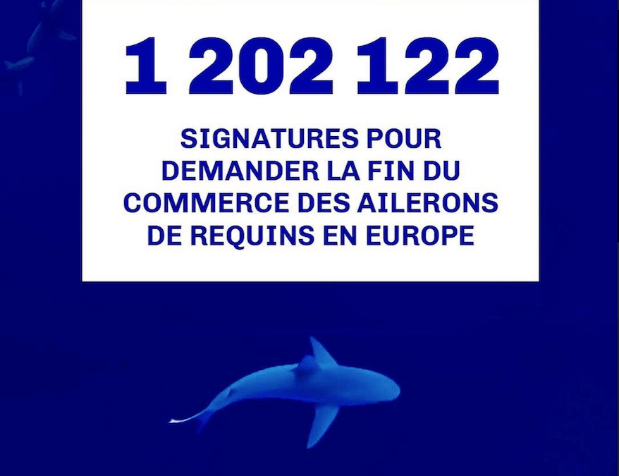 Stop Finning EU : plus d’1 million de votes… MERCI !