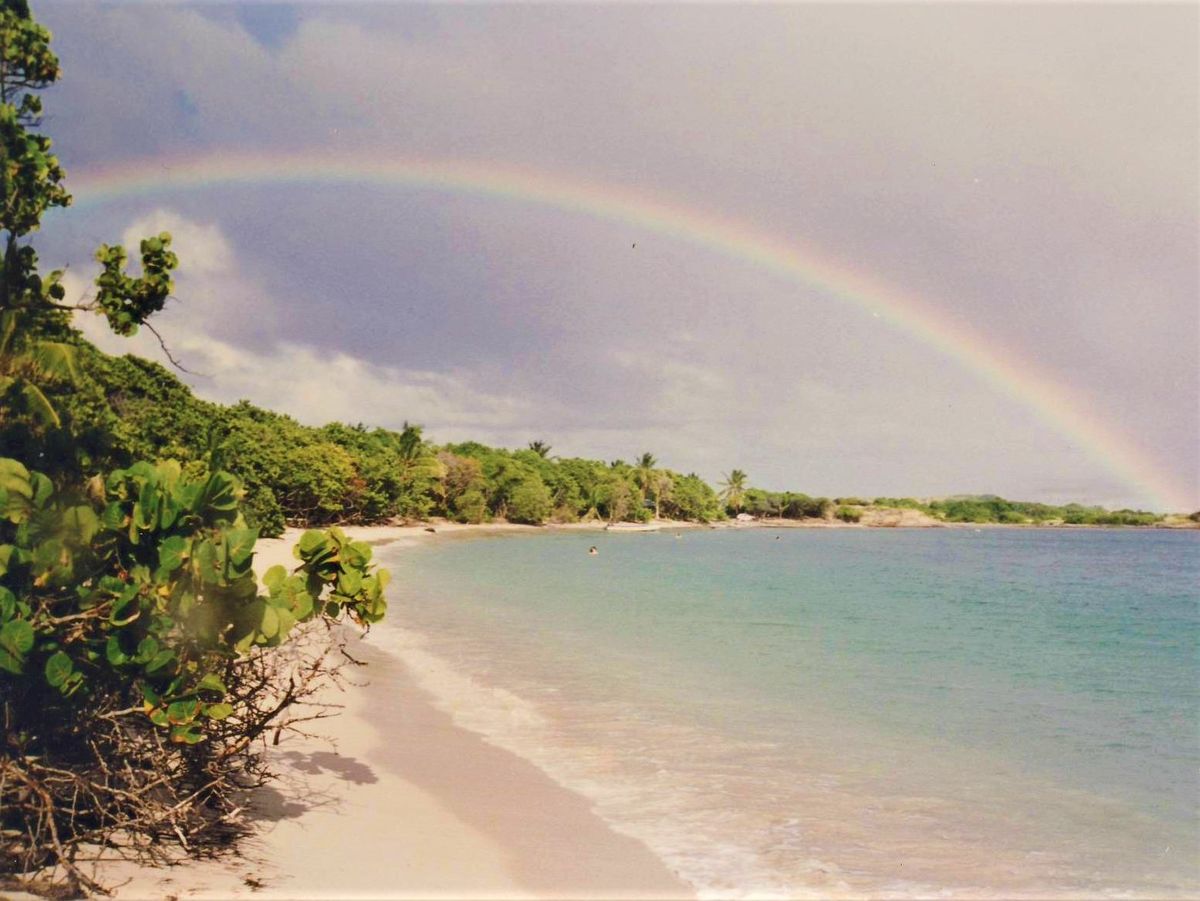 Antilles Chlordécone chronique d'un désastre