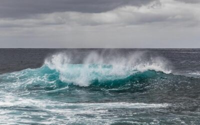 L’océan, source d’énergies ?