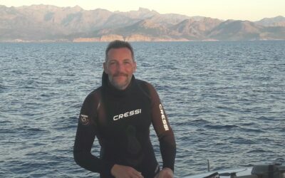 Les cachalots de Méditerranée avec Stéphane GRANZOTTO