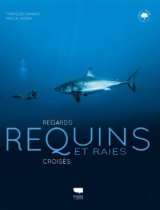 Requins et raies, regards croisés © Pascal KOBEH