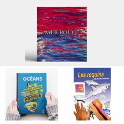 Promotion Livre Mer Rouge Eau Bleue plus deux livres offerts