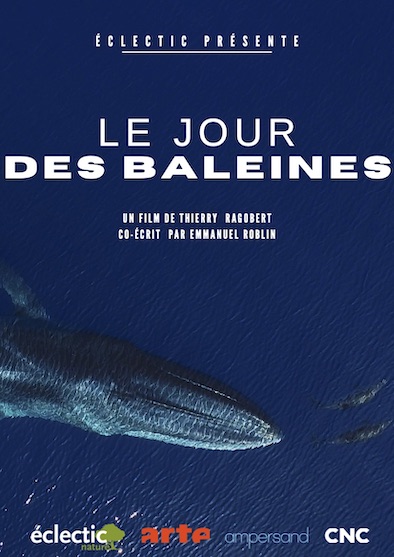 Baleines et cachalots à l’honneur avec la diffusion du nouveau film "LE JOUR DES BALEINES"