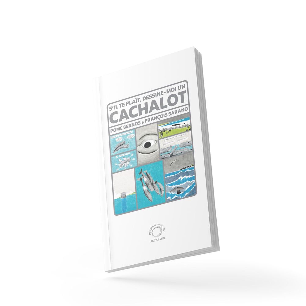 Essai graphique - S'il te plaît, dessine moi un cachalot - 1e de couverture