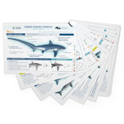 “Requins de Méditerranée en danger” fiches plastifiés immergeables