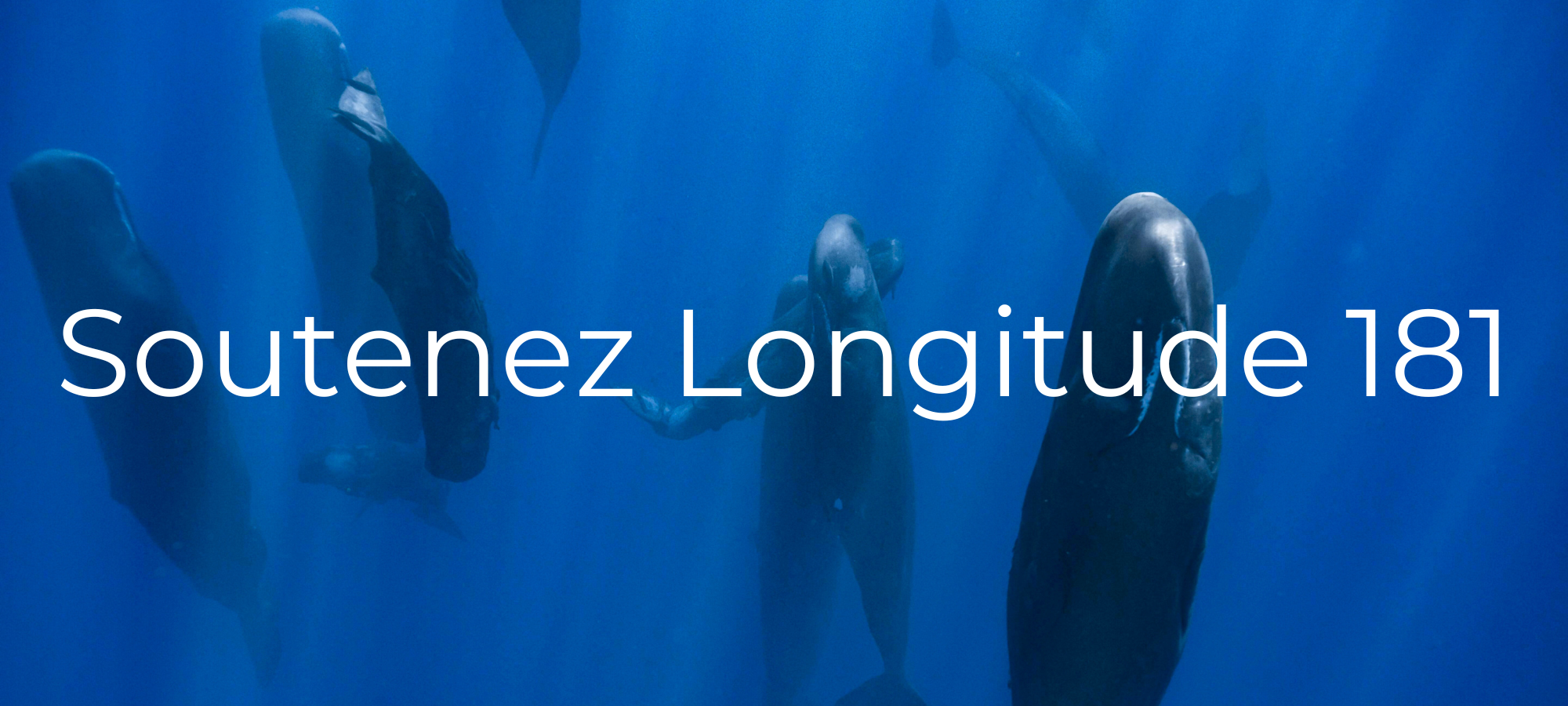 Soutenir Longitude 181 Soutenir Longitude 181